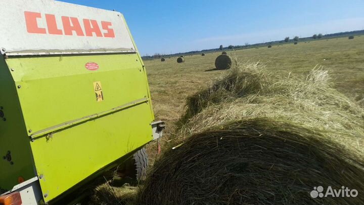 Сено свежее в тюках и рулонах этого года
