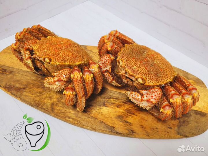 Краб волосатик