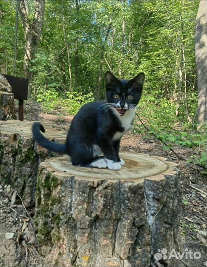 Мальчик подросток в поисках дома