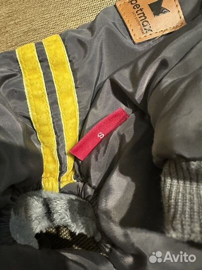 Одежда для маленьких собак