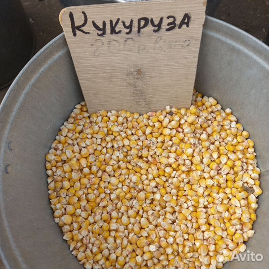 Зерно, комбикорма, семена