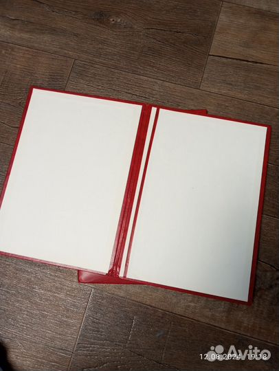 Папка выпускник