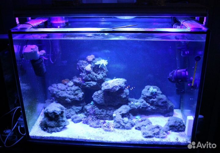 LED светильники для рифовых аквариумов