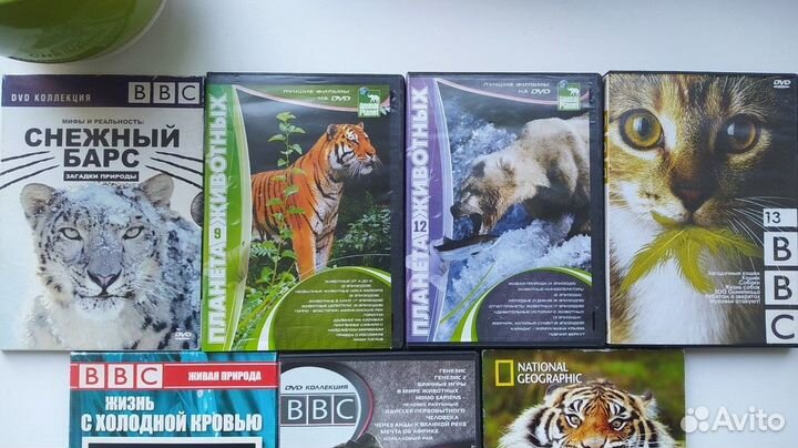 DVD диски BBC