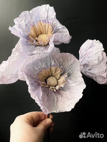 Декоративные цветы