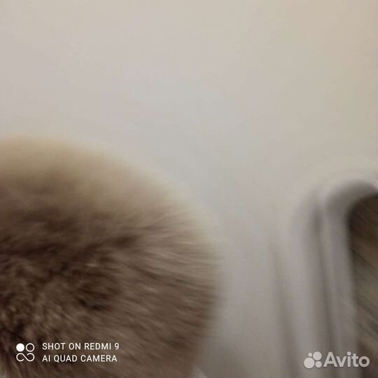 Продам шапку кубанку из песца