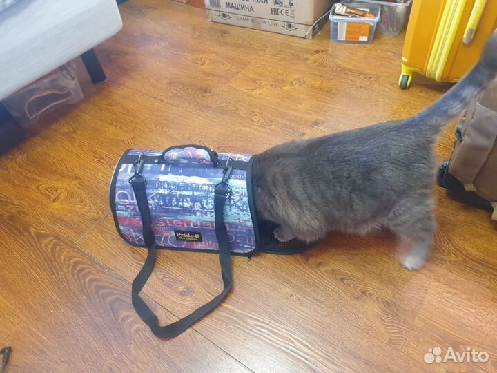 Переноска для котов