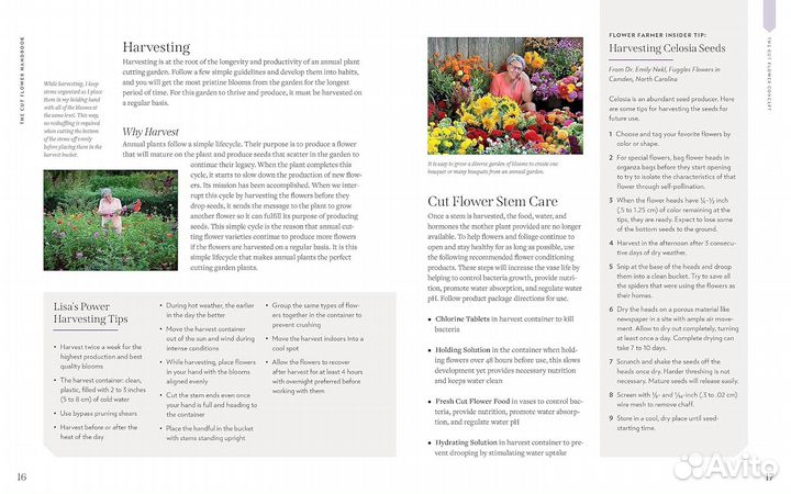 The Cut Flower Handbook: Select, Plant, Grow, and