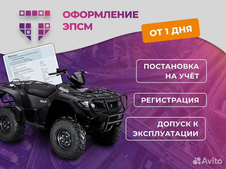 Оформление ЭПТС СБКТС / зоетс / эпсм