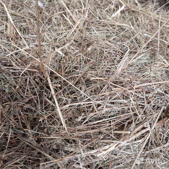 Сенцо для вашего хозяйства