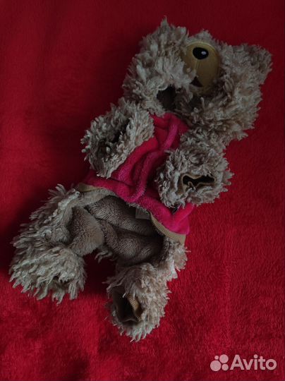 Одежда для собак мелких пород