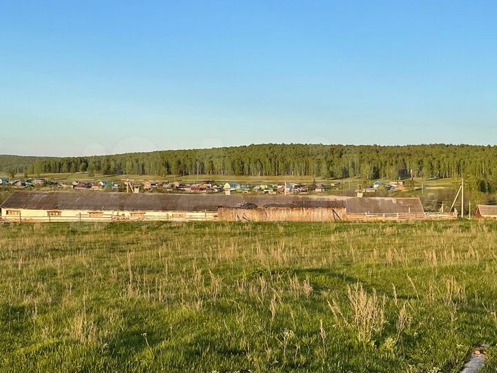 Комплекс молочно-товарной фермы, 15213 м²