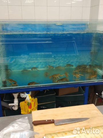 Аквариум с тумбой бу