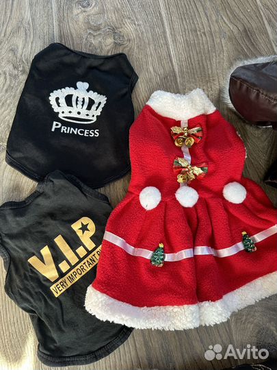 Одежда для маленькой собаки, новая и бу