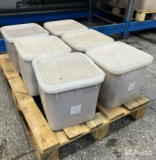 Липовый мед оптом