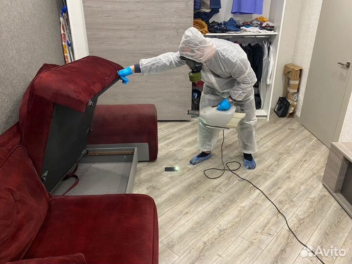 Обработка от клопов и тараканов. Дезинфекция