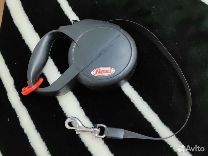 Рулетки для выгула собак