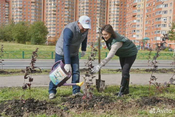 Ищу партнера в строительный бизнес