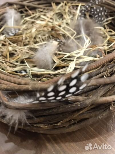 Гнездо материал для фотосессии пасхи поделки