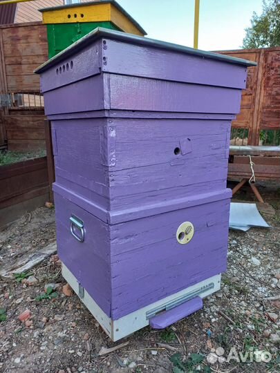 Продаю ульи