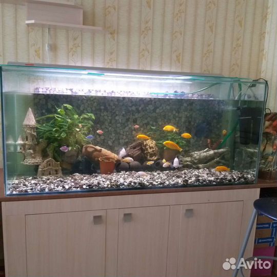 Аквариум 600 литров