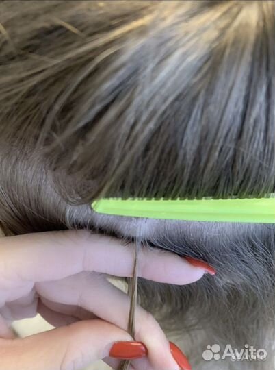 Наращивание волос обучение