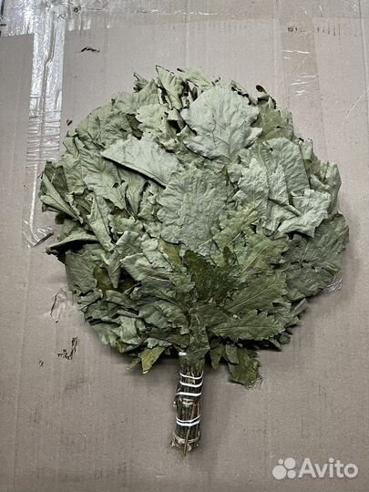 Дубовый веник