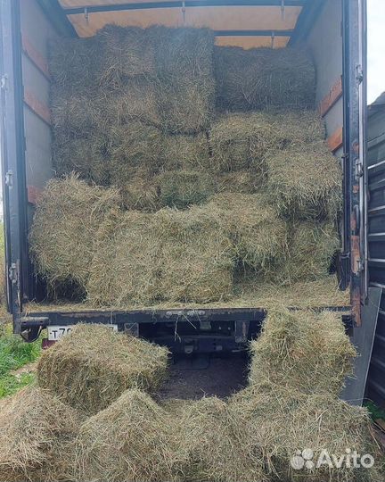 Сено солома в тюках