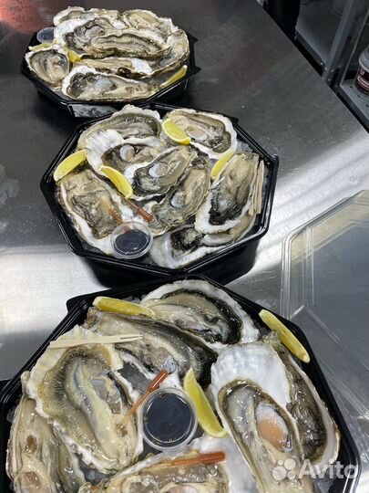 Сет из Устриц