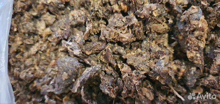 Прополис пчелиный