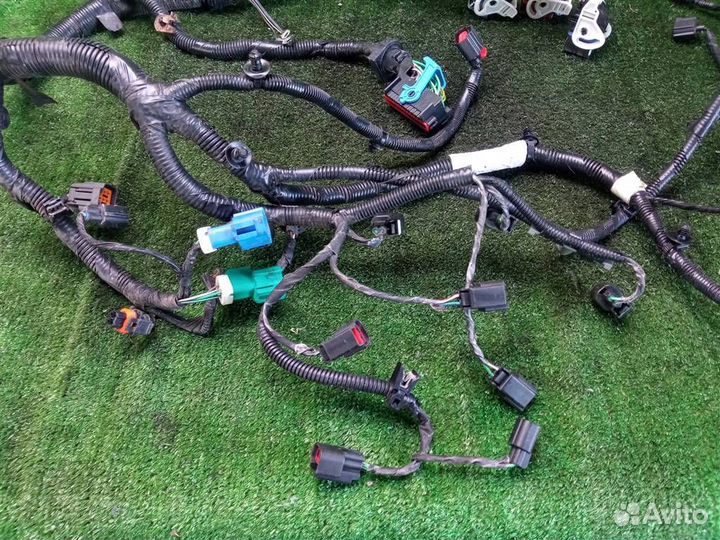 Проводка (коса) Ford Focus 2 (2005-2011)