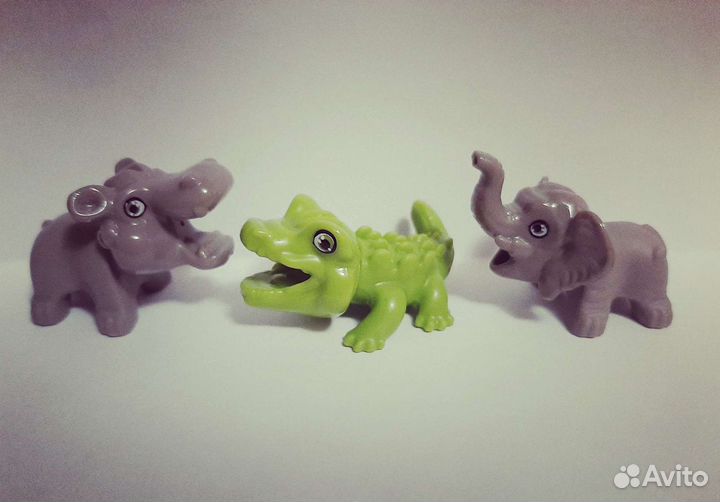 Натунс 2021 животные