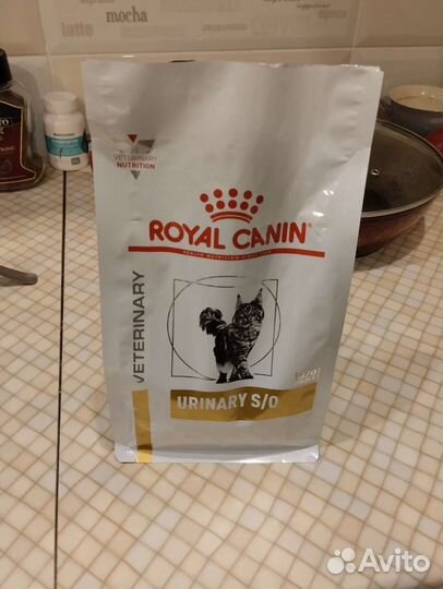 Сухой корм для кошек роял канин