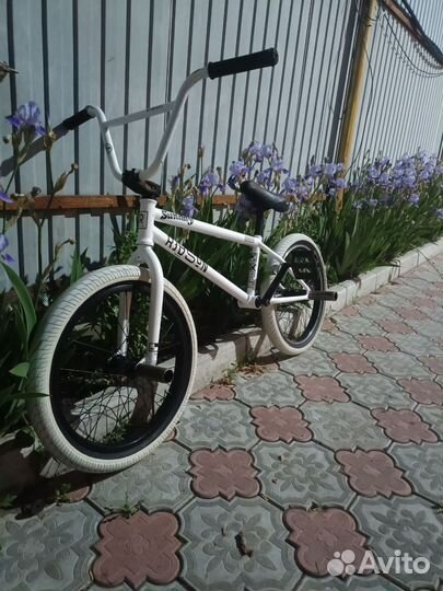 Bmx WTP Reason 2015 (20.75)