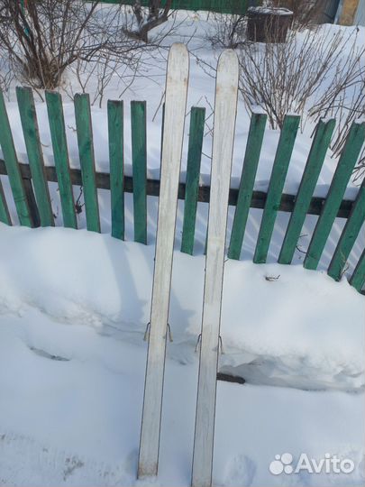 Горные лыжи