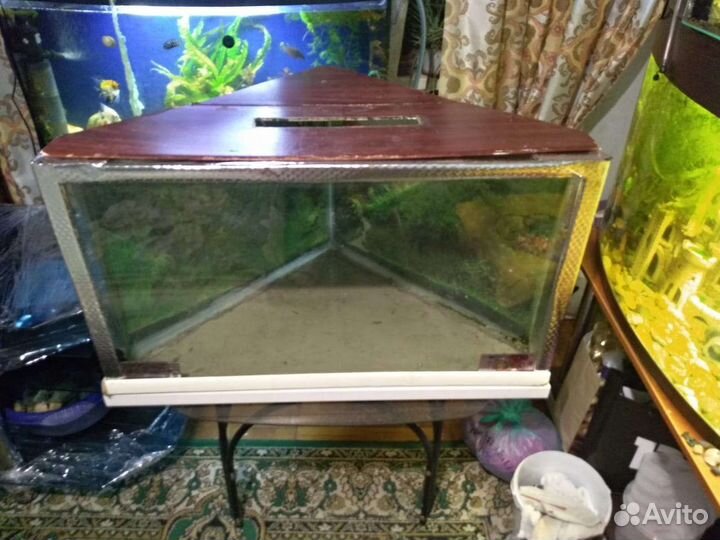 Аквариум