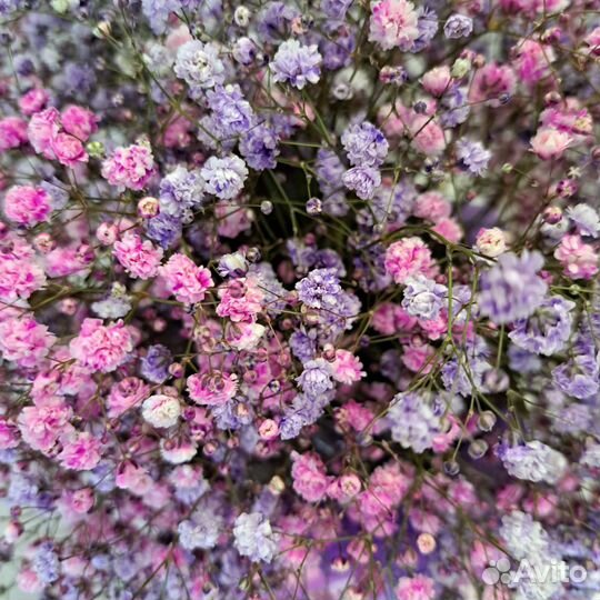 Гипсофила в шляпной коробке