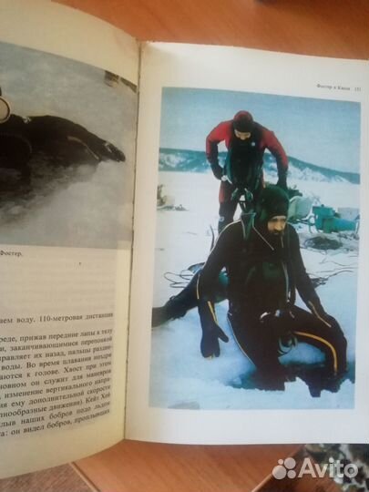 Кусто Жак-Ив Лососи, бобры, каланы книга