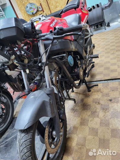 Продаю patron sport250