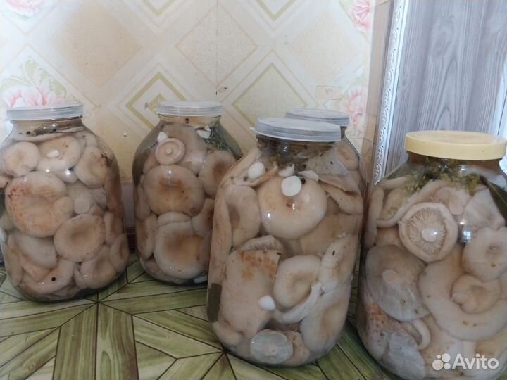 Грибы грузди солёно-вареные