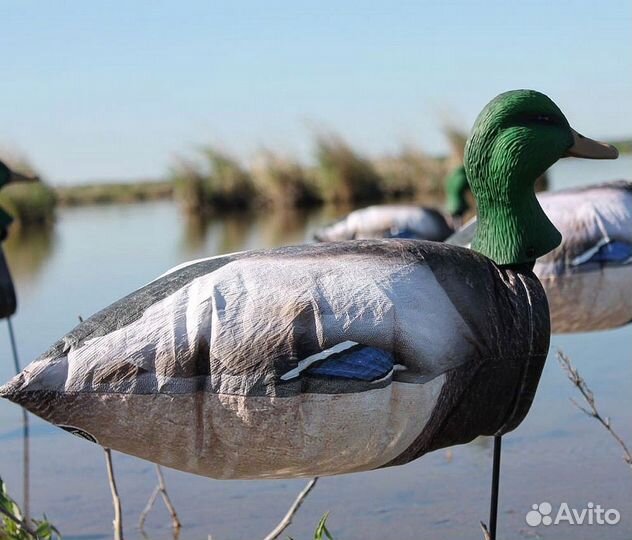 Приманки для охоты на водоплавающую дичь