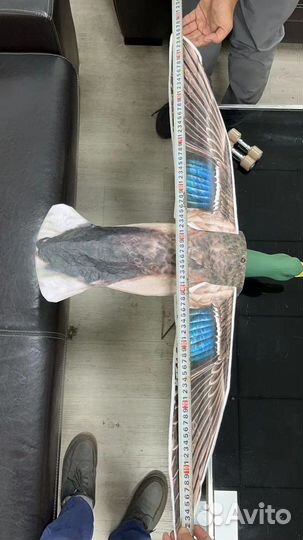 Ветровой махокрыл селезня GreenGo