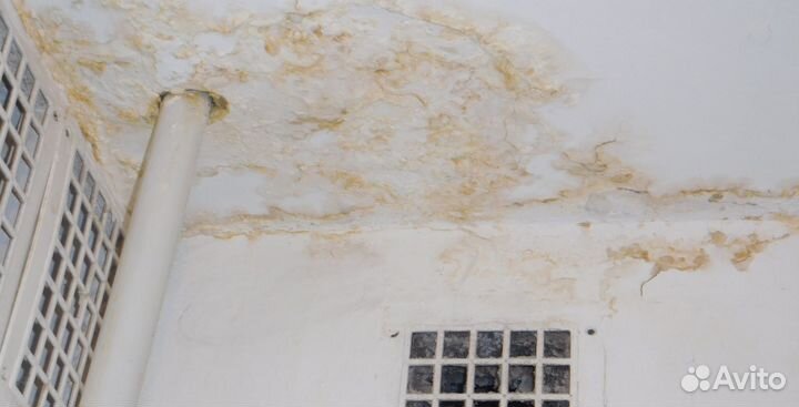 Независимая оценка ущерба,экспертиза от затопления