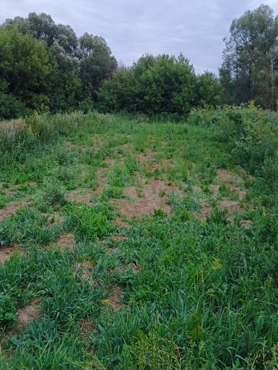 Участок 6,8 сот. (ИЖС)