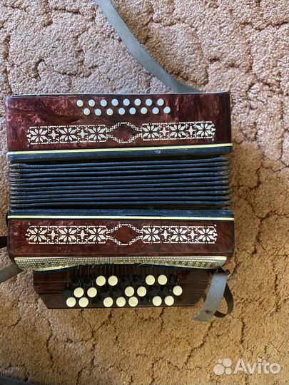 Аккордеон Малыш