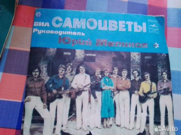 Виниловые пластинки