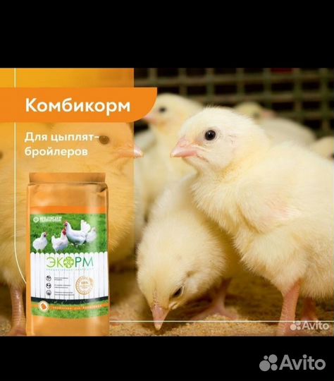 Комбикорм для бройлеров
