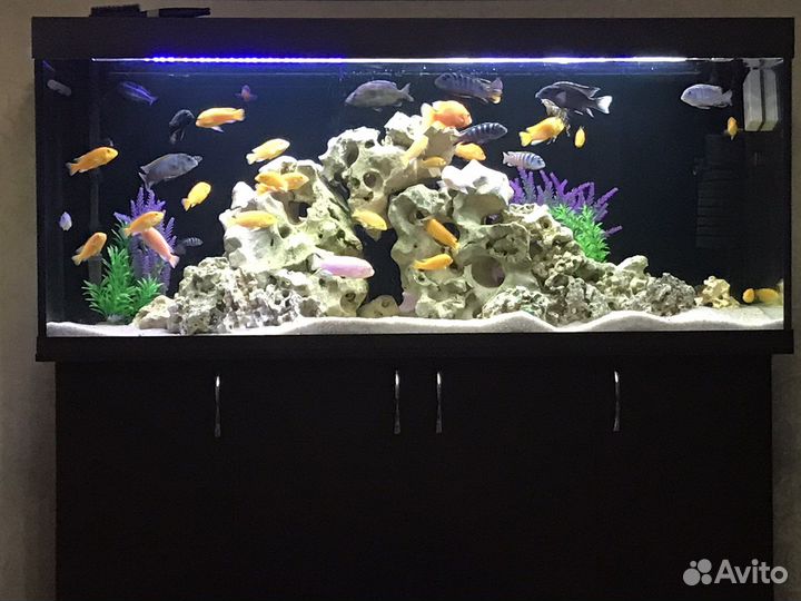 Аквариум 450 литров