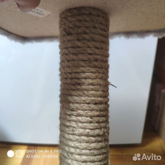 Когтеточка для кошек новая