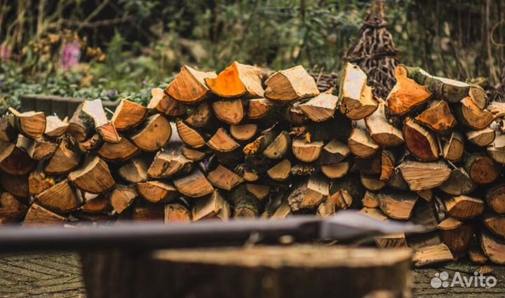 Дрова береза осина
